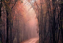 jrs低调看直播nba无插件安全吗？怎么找到靠谱的观看渠道？